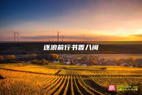 逐浪前行书香八闽