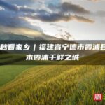 300秒看家乡︱福建省宁德市霞浦县：画本霞浦千鲜之城