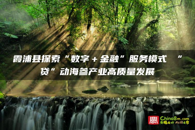 霞浦县探索“数字+金融”服务模式 “贷”动海参产业高质量发展
