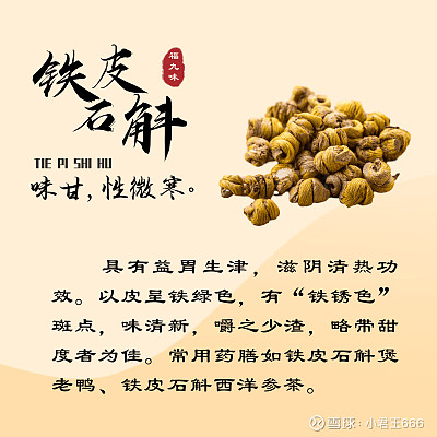 福建“福九味”是什么,分别指的是那几味呢?