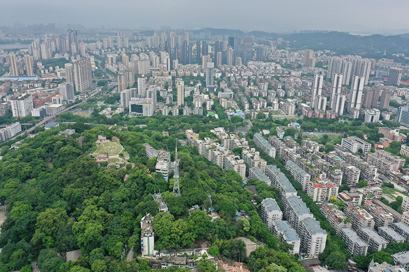 “两山”共“建”造“福”地——来自八闽大地的绿色发展观察