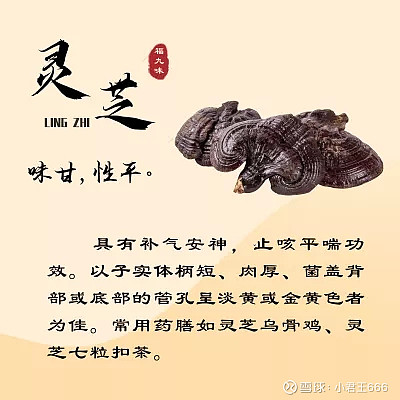 福建“福九味”是什么,分别指的是那几味呢?