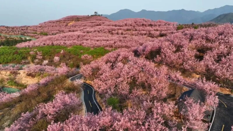 助力台胞在清流安家安业—— “心安之处即吾家”