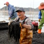 打卡霞浦！特产清单你了解了吗？