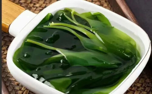 冬日吃火锅必囤八闽狠货，霞浦海带嫩苗！