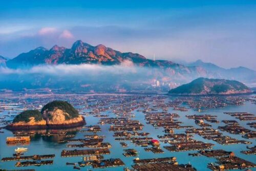 清华大学校花彭弋航的家乡找到了！福建霞浦人，美丽的海港城市