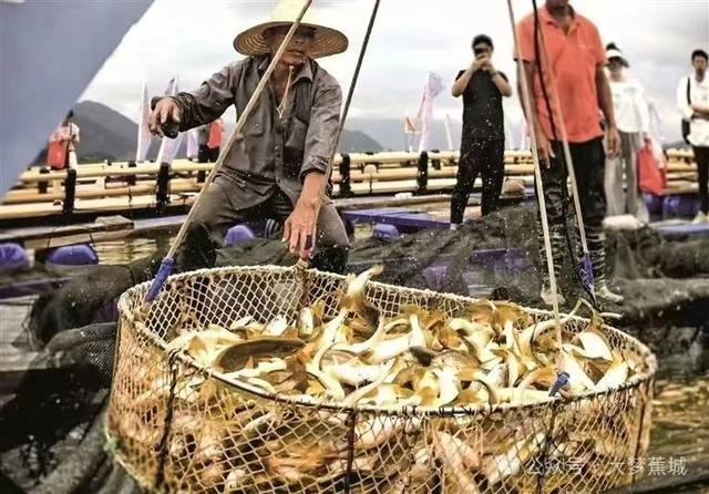 探秘山海宁德 品味黄鱼之都——“宁德大黄鱼”北京推介周即将开启!