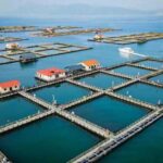 探秘山海宁德 品味黄鱼之都——“宁德大黄鱼”北京推介周即将开启！