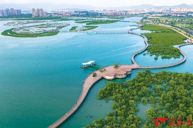 新福建这十年:“活优富美”千帆竞