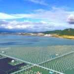 海上“风光”无限好——福建漳州加快打造东南沿海清洁能源重镇