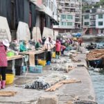 无需投喂！最佳下苗季节来了！福建不少人爱吃！