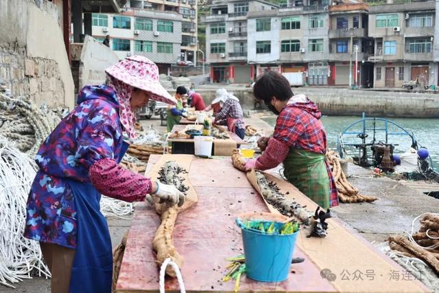 无需投喂!最佳下苗季节来了!福建不少人爱吃!