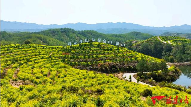 福建为什么这么“绿”?
