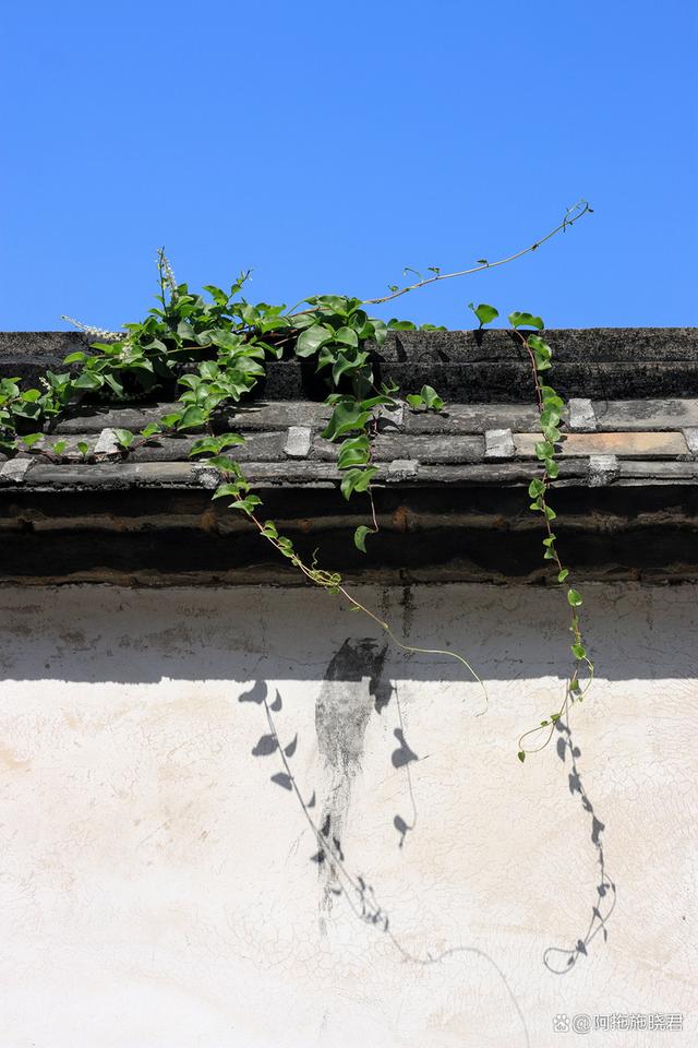 榕城福州,在八闽首府发现福建别样美