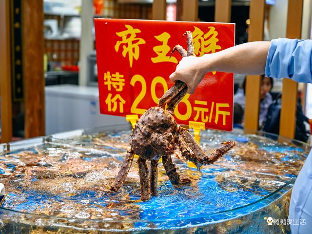 在厦门90年前最火爆旅社边,饕餮海鲜安排上,常常满真是大满足
