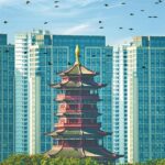 厦门“大雪”无冬味，今明暖意足！