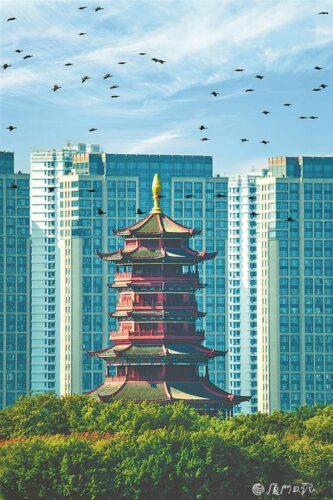 厦门“大雪”无冬味，今明暖意足！