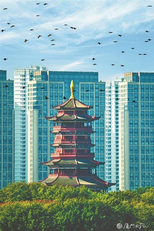 厦门“大雪”无冬味，今明暖意足！