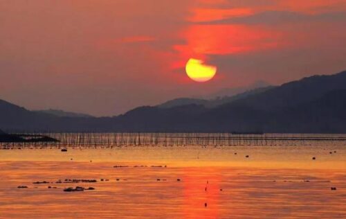 在与大海共鸣的地方，看霞辉铺满长卷，等星河坠入大海