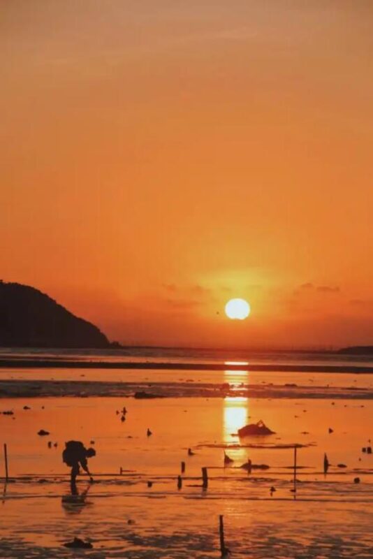 在与大海共鸣的地方，看霞辉铺满长卷，等星河坠入大海