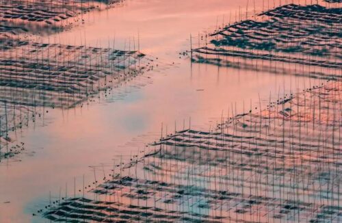 在与大海共鸣的地方，看霞辉铺满长卷，等星河坠入大海