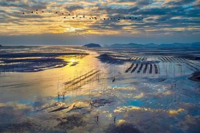 在与大海共鸣的地方,看霞辉铺满长卷,等星河坠入大海