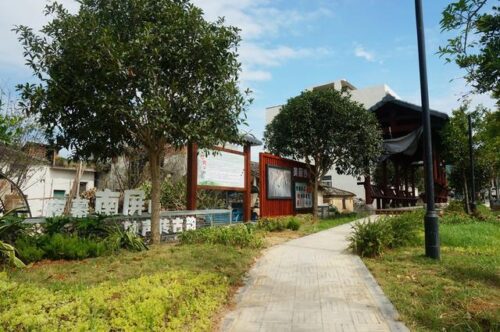 福建霞浦沙江：闽台乡建乡创带来家园“蝶变”