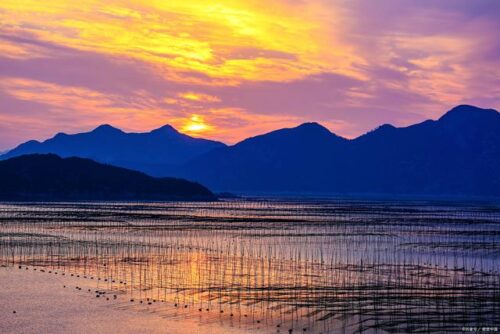 冬游霞浦：美食与海景的浪漫邂逅