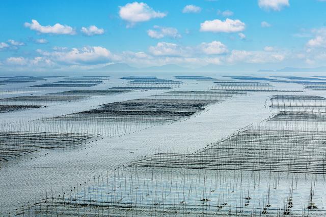 冬游霞浦:美食与海景的浪漫邂逅