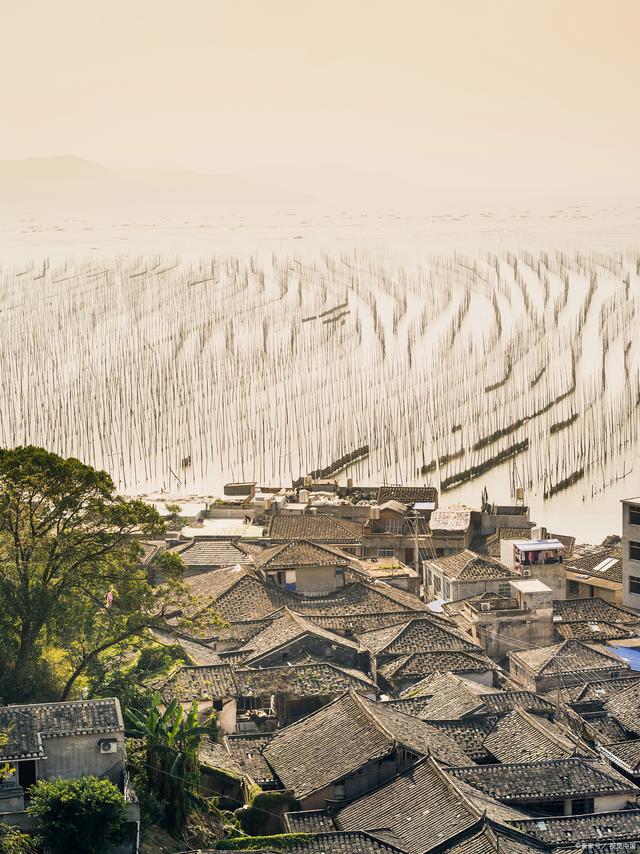 冬游霞浦:美食与海景的浪漫邂逅