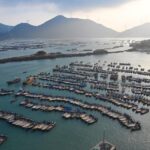 镜观中国·新华社国内新闻照片一周精选丨奇达村：山海交响 渔旅融合