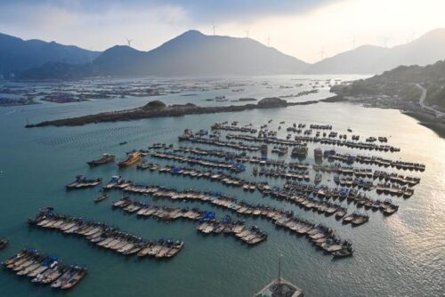 镜观中国·新华社国内新闻照片一周精选丨奇达村：山海交响 渔旅融合