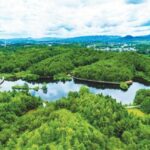 进则全胜——龙岩市提升“五种能力”、持续拓展提升“长汀经验”，向全域水土保持高质量发展先行区迈进