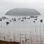 霞浦浮鹰岛：冬日里的海鲜盛宴与绝美风光