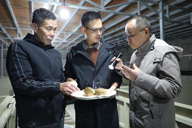 福建霞浦:从“北参南养”到“南参南养”