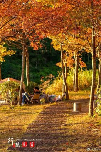 福建，有“枫”情！