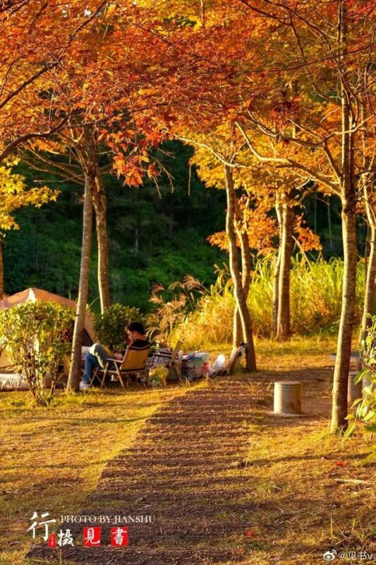 福建，有“枫”情！