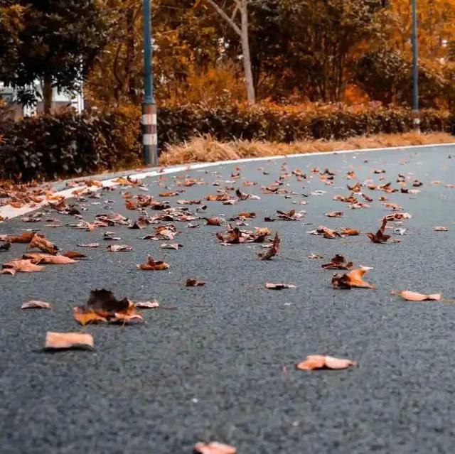 福建,有“枫”情!