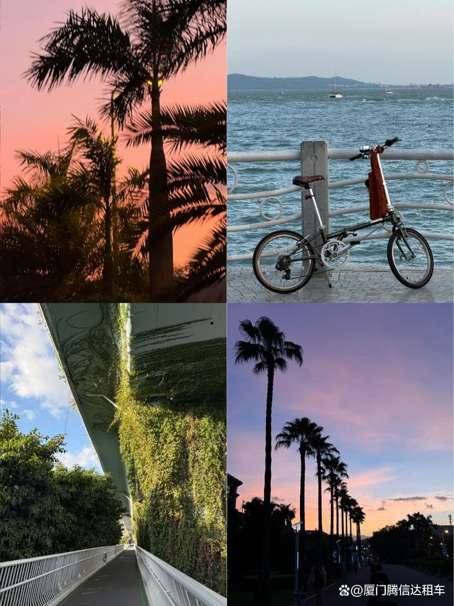 2025厦门旅游最全攻略，附加厦门包车旅游价格表