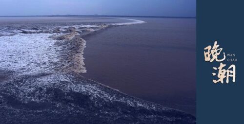 晚潮｜我眼中的宋韵·我在泉州感受宋韵之美