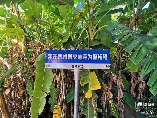 晚潮|我眼中的宋韵·我在泉州感受宋韵之美