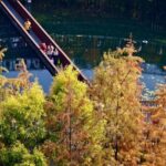 福建福州：福道水杉“换装”引游人