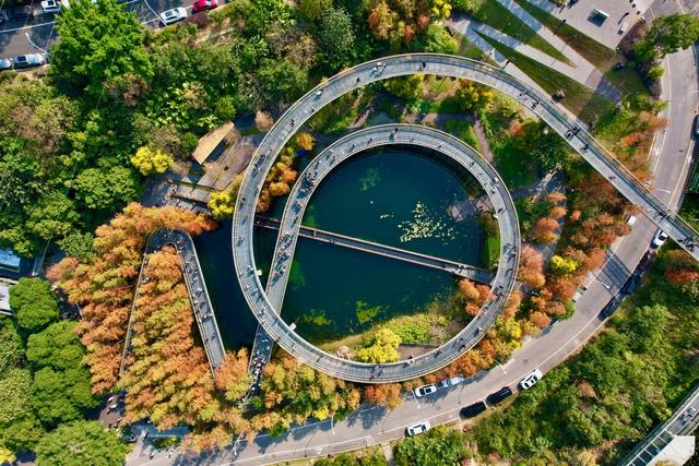 福建福州:福道水杉“换装”引游人