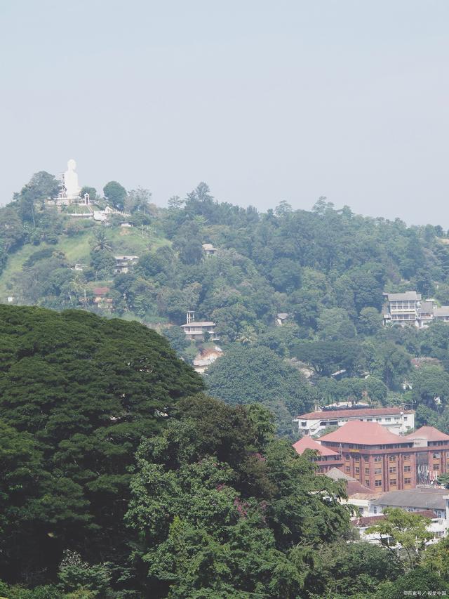 福州鼓山:入冬探寻美食之旅