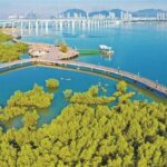 先行先试“碳”新路！厦门书写生态高分卷