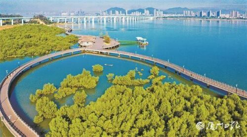 先行先试“碳”新路！厦门书写生态高分卷