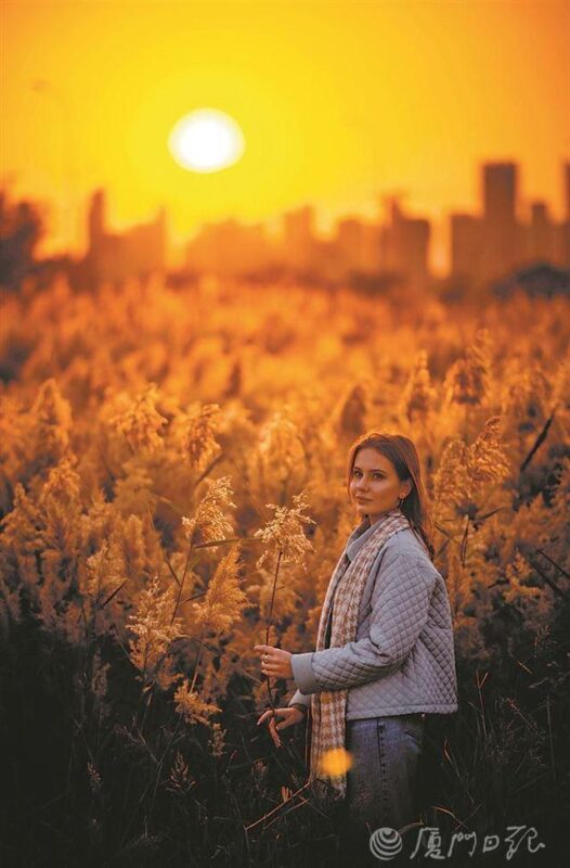 蒹葭弄影波潋滟——厦门日报带您打卡马銮湾新城生态美景