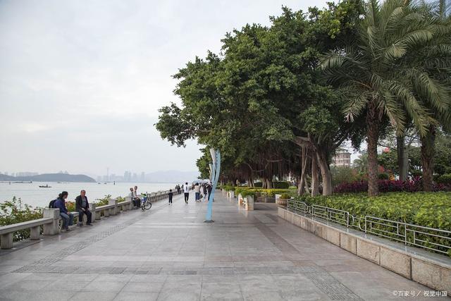 厦门入冬:美食与美景的自由邂逅之旅