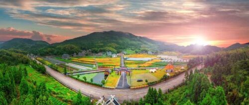 城与乡，双向奔“富”