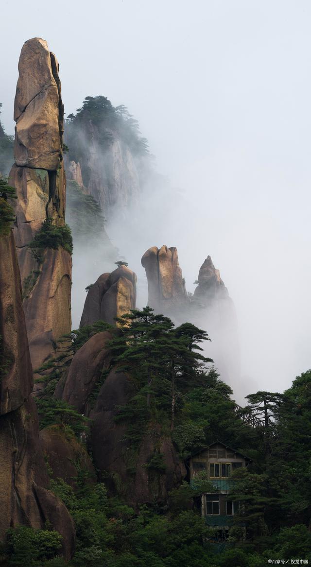 太姥山景区:入冬探秘,舌尖上的闽东美食之旅